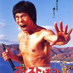 フィスト・オブ・フューリー 作品