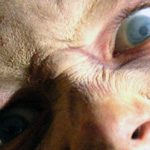 ダイアリー・オブ・ザ・デッド 作品