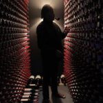 世界一美しいボルドーの秘密 作品